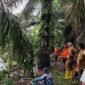 Seorang Warga Pesisir Selatan Hilang di Sungai Saat Mencari Sayur Diduga Diseret Buaya. (Dok TVRI News)