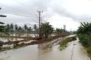 Banjir yang merendam Kecamatan Lambandia, Kabupaten Kolaka Timur, Provinsi Sulawesi Tenggara. (Dok. BPBD Kabupaten Kolaka Timur)
