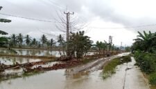 Banjir yang merendam Kecamatan Lambandia, Kabupaten Kolaka Timur, Provinsi Sulawesi Tenggara. (Dok. BPBD Kabupaten Kolaka Timur)