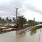 Banjir yang merendam Kecamatan Lambandia, Kabupaten Kolaka Timur, Provinsi Sulawesi Tenggara. (Dok. BPBD Kabupaten Kolaka Timur)