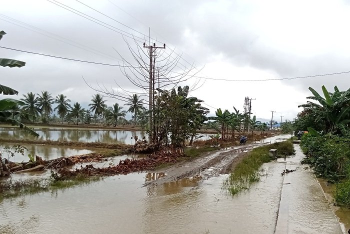 Banjir yang merendam Kecamatan Lambandia, Kabupaten Kolaka Timur, Provinsi Sulawesi Tenggara. (Dok. BPBD Kabupaten Kolaka Timur)